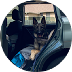 Profile photo of Hs Nguyen