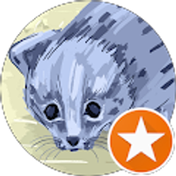 Profile photo of Vortelle Vortelle