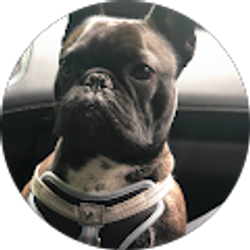 Profile photo of Magda M Soto