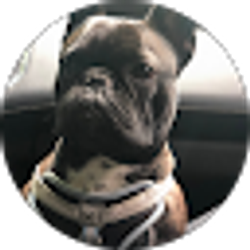 Profile photo of Magda M Soto