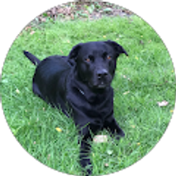 Profile photo of Olivia Marcuccio