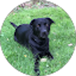 Profile photo of Olivia Marcuccio