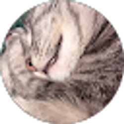 Profile photo of Kenneth Lee