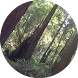 Profile photo of Jer Fis