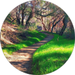 Profile photo of B Dan345