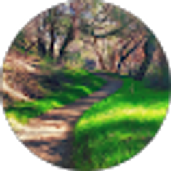 Profile photo of B Dan345