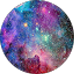 Profile photo of Trevor Holloway