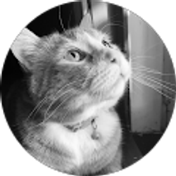Profile photo of Joann Bernal