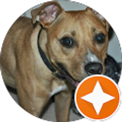 Profile photo of David Briel