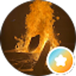 Profile photo of C