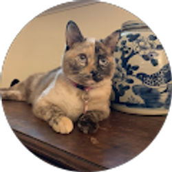 Profile photo of Mariahtj63