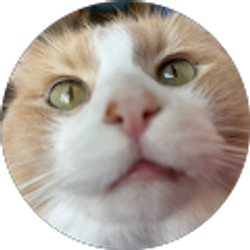 Profile photo of Marat