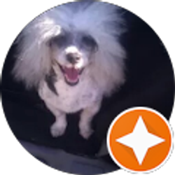 Profile photo of Veronikah Arteta