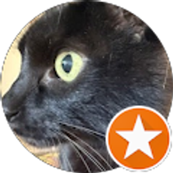 Profile photo of ViggyCat