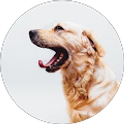 Profile photo of Pranay Janagam