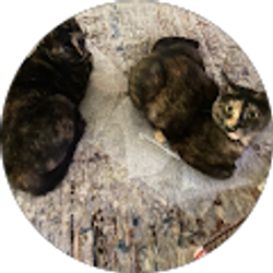 Profile photo of Kat Kunkle