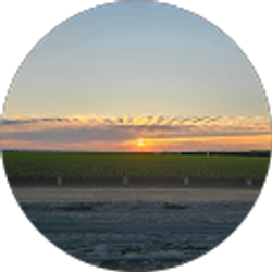 Profile photo of tubero colorado