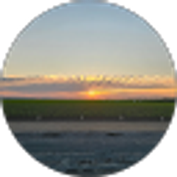 Profile photo of tubero colorado