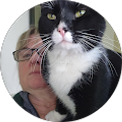 Profile photo of Tammy