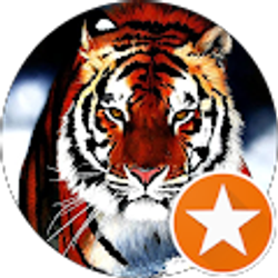 Profile photo of M O