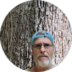 Profile photo of michael Payne