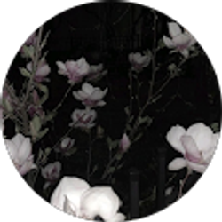 Profile photo of MelodyBusterna