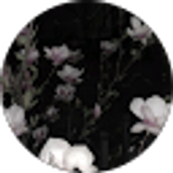 Profile photo of MelodyBusterna