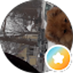 Profile photo of Wilber War