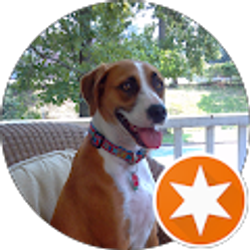 Profile photo of Phil Bosche