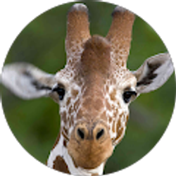 Profile photo of Billy