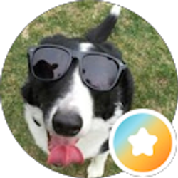 Profile photo of Jessie Gibson