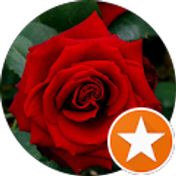 Profile photo of Evyan