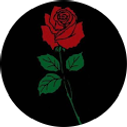 Profile photo of 777