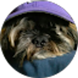 Profile photo of Jody Orduna