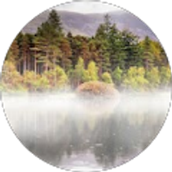 Profile photo of michelle vindel