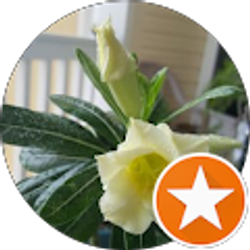 Profile photo of mary rhew