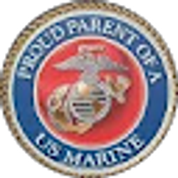 Profile photo of steve s