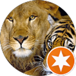 Profile photo of Honey Eyes