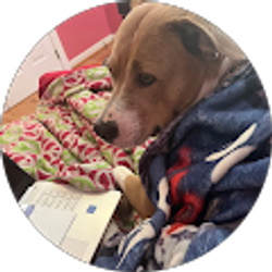 Profile photo of Tara Lee