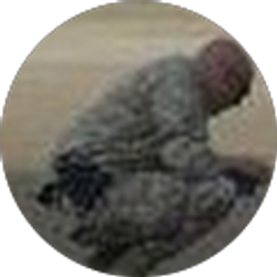 Profile photo of Patrick Ezel