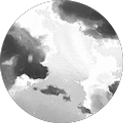 Profile photo of Daniel Palikrouchev