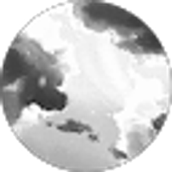 Profile photo of Daniel Palikrouchev