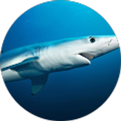 Profile photo of thomas tuten