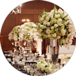 Profile photo of DESIGNS BY ZIMA (Designs by Zima)