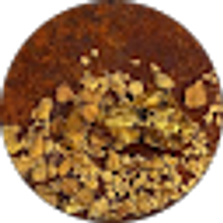 Profile photo of Mike Diesing