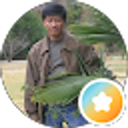 Profile photo of neng thao