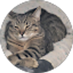 Profile photo of Nathan Lopp