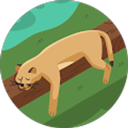 Profile photo of Nadera A