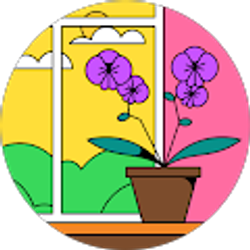 Profile photo of Morgan P.