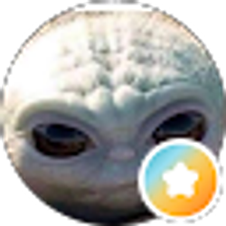 Profile photo of Casey E.